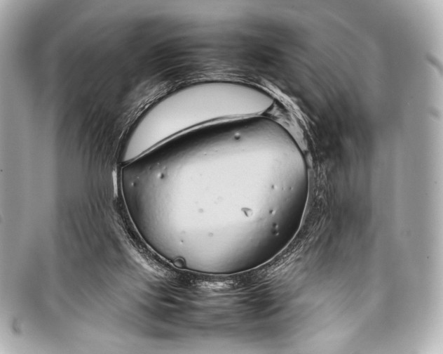 X0000098100061200804181436