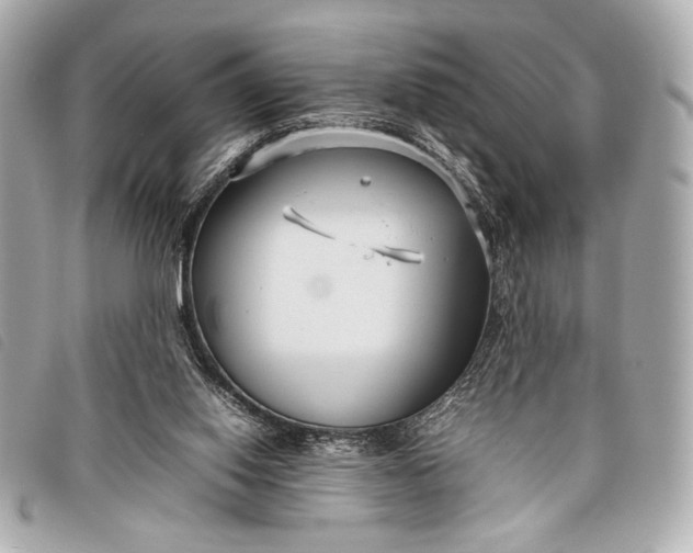 X0000098100062200804181436