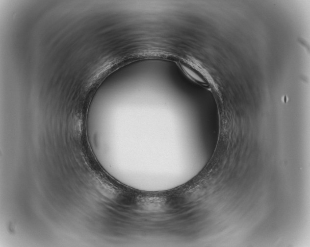 X0000098100063200804181436