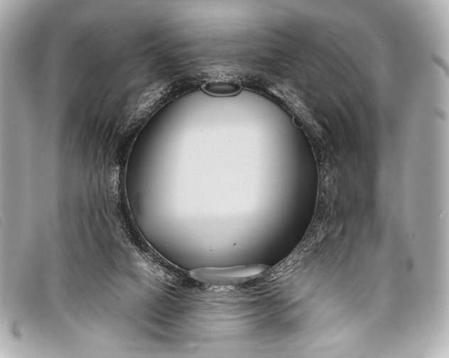 X0000098100066200804181436
