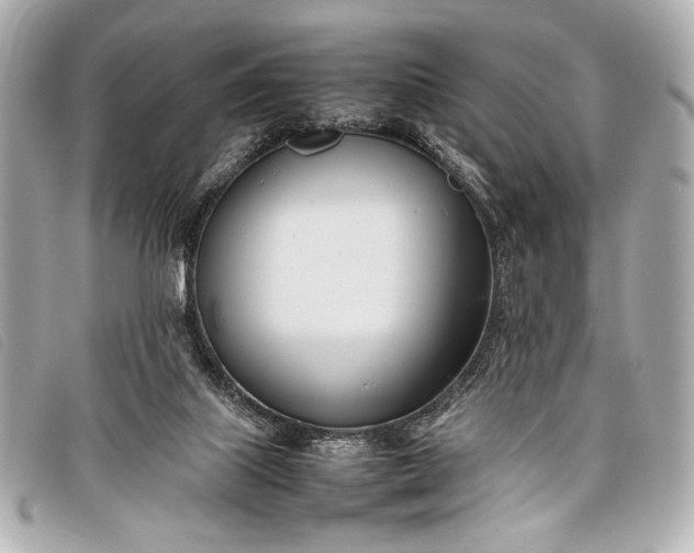 X0000098100067200804181436