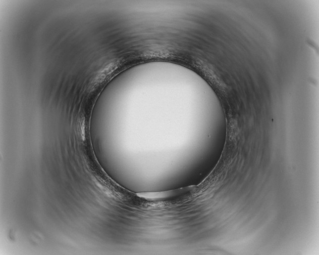 X0000098100068200804181436