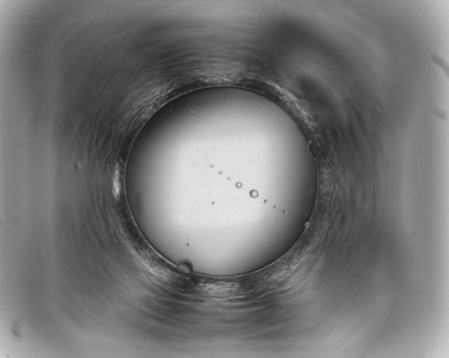 X0000098100069200804181436