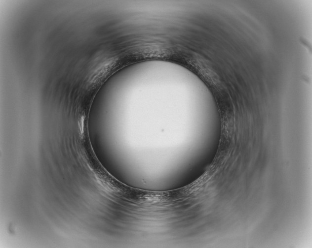 X0000098100070200804181436