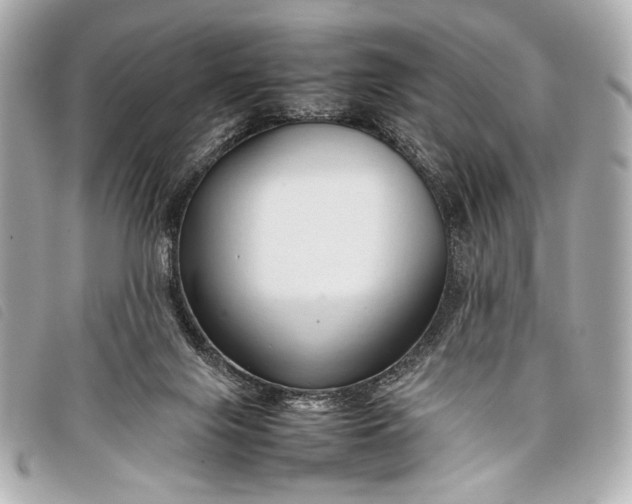 X0000098100071200804181436