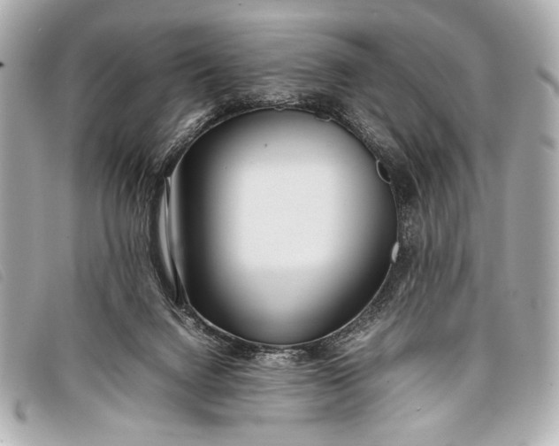 X0000098100072200804181436