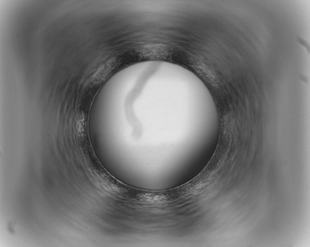 X0000098100073200804181436