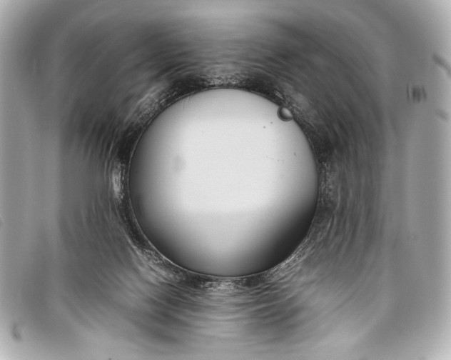 X0000098100074200804181436