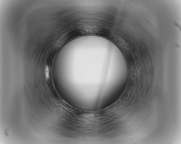 X0000098100075200804181436