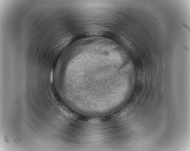 X0000098100076200804181436