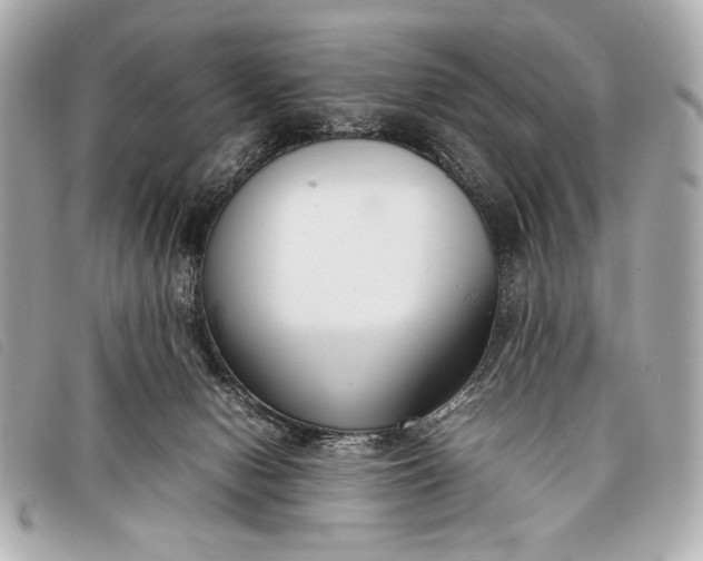 X0000098100078200804181436