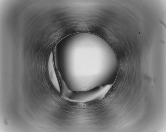 X0000098100080200804181436