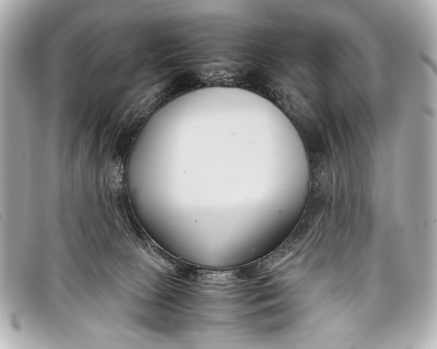 X0000098100081200804181436
