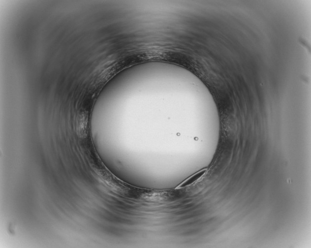 X0000098100082200804181436