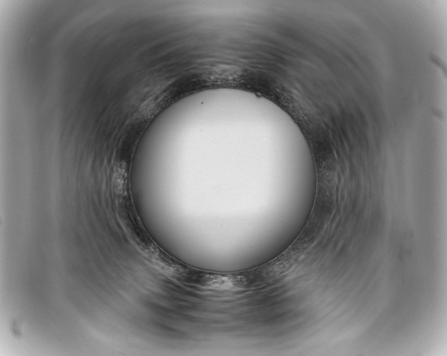 X0000098100083200804181436