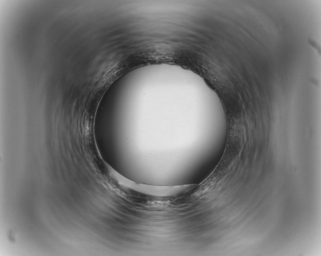 X0000098100084200804181436