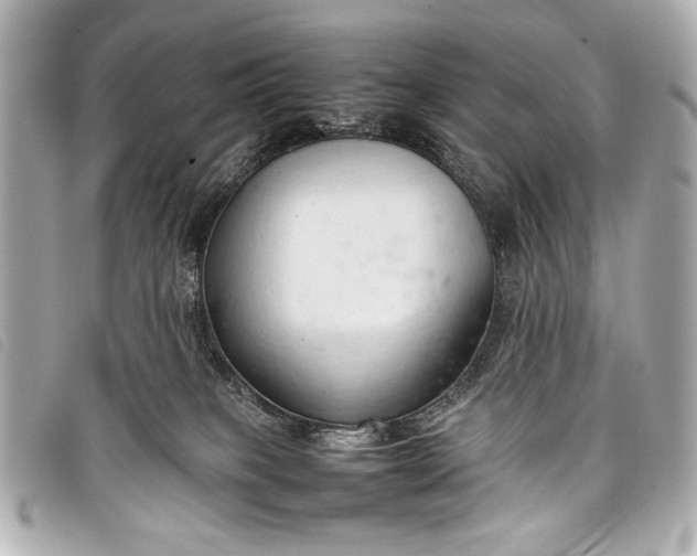 X0000098100085200804181436