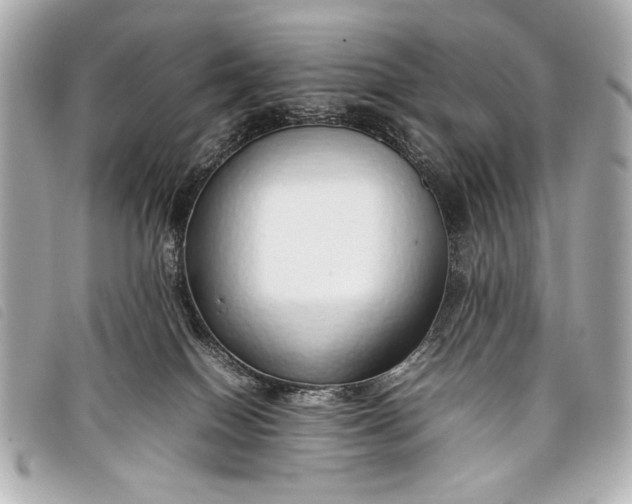 X0000098100086200804181436