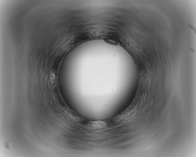 X0000098100087200804181436