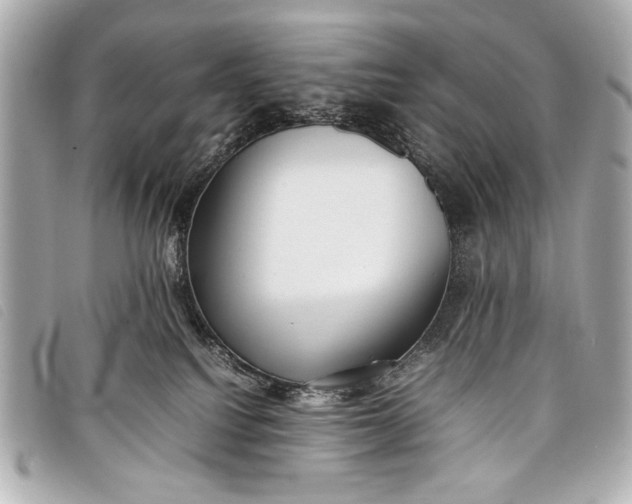 X0000098100088200804181436