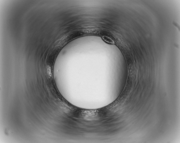 X0000098100089200804181436