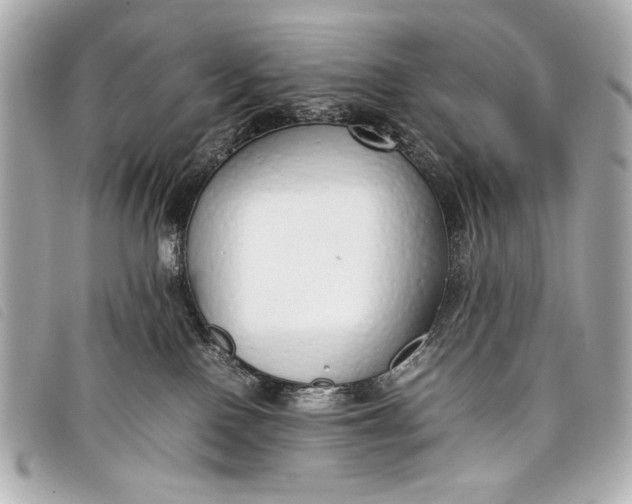 X0000098100090200804181436