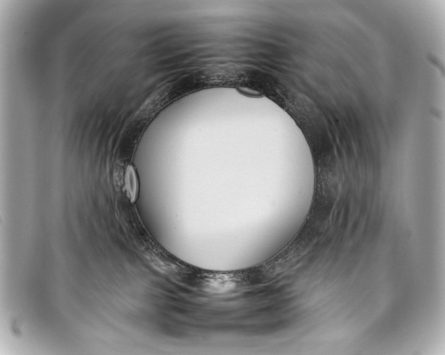 X0000098100091200804181436