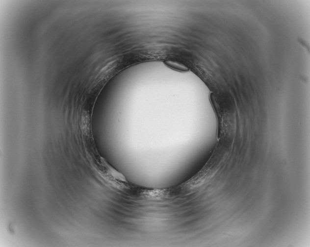 X0000098100092200804181436