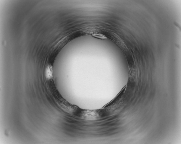 X0000098100095200804181436