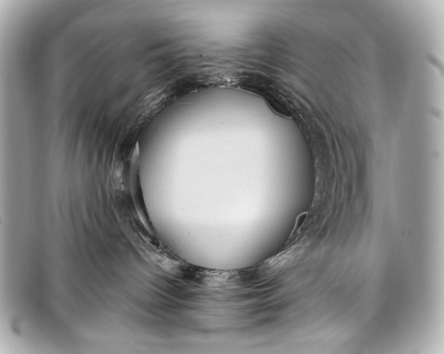 X0000098100096200804181436