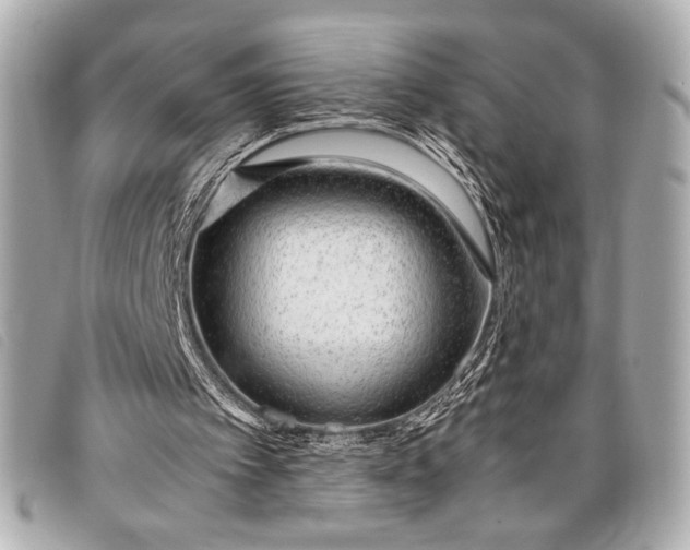 X0000098100097200804181436