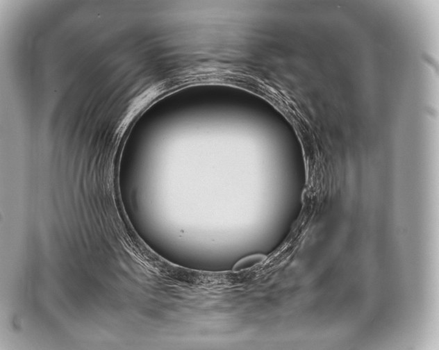 X0000098100099200804181436