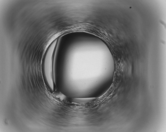 X0000098100100200804181435