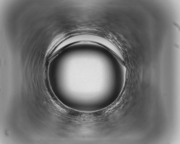 X0000098100101200804181435
