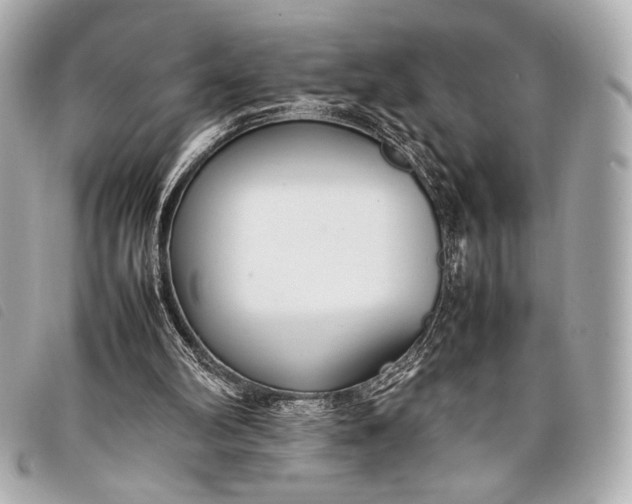 X0000098100102200804181435