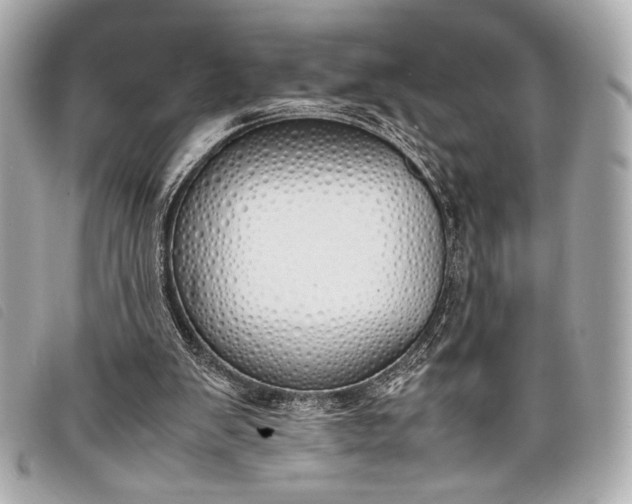 X0000098100103200804181435