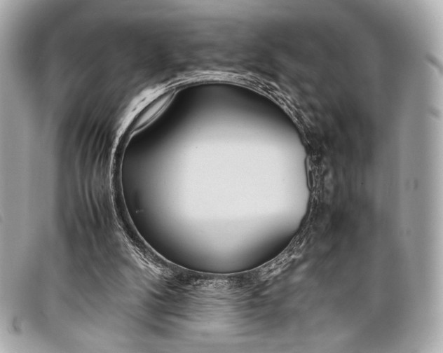 X0000098100104200804181435
