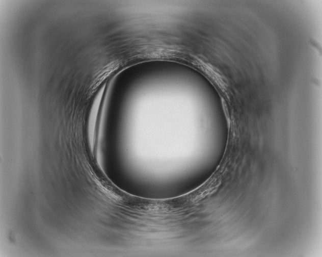 X0000098100105200804181435
