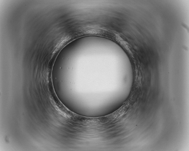 X0000098100106200804181435