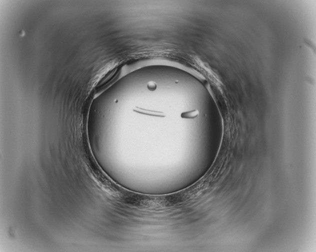 X0000098100107200804181435