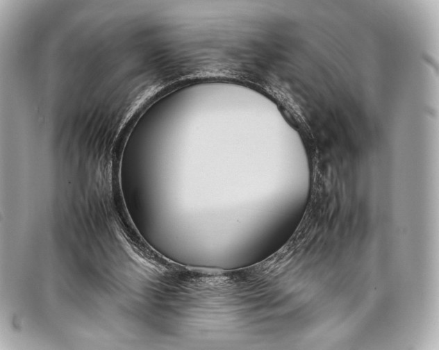 X0000098100108200804181435