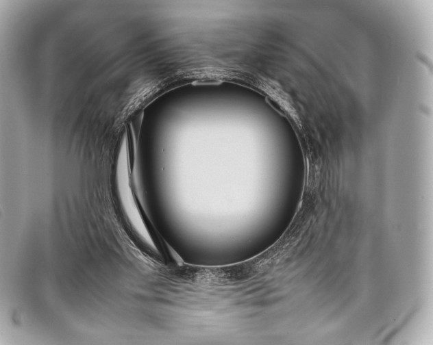 X0000098100109200804181435