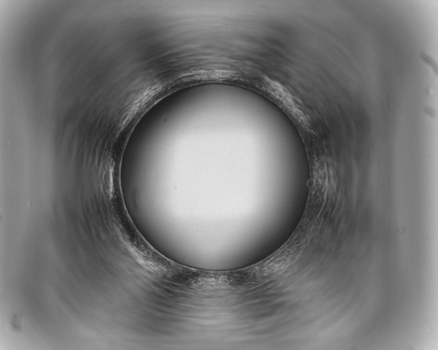 X0000098100110200804181435