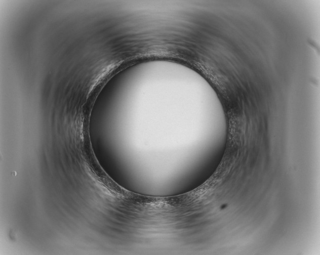 X0000098100112200804181435
