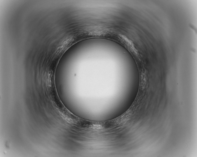 X0000098100114200804181435