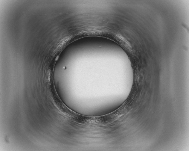 X0000098100115200804181435