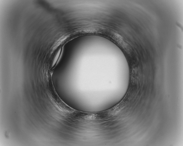 X0000098100116200804181435