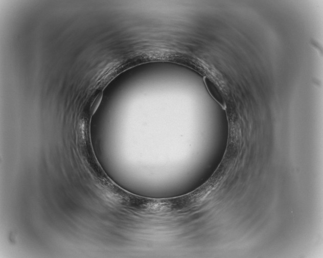 X0000098100117200804181435