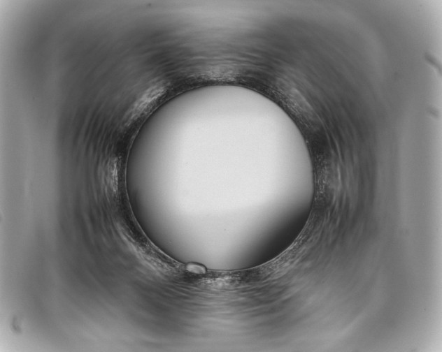 X0000098100120200804181435
