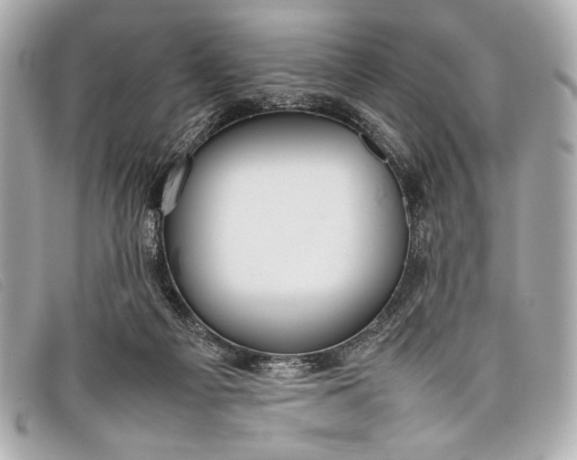 X0000098100121200804181435